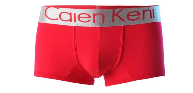 2017 NEW Summer dress Caienkeni  Cotton Underwear Men Boxer Shorts mens underwear Male Panties