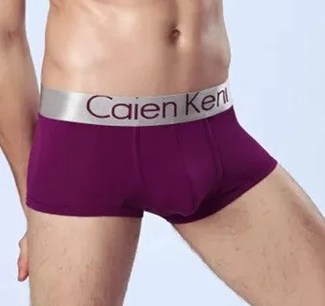 2017 NEW Summer dress Caienkeni  Cotton Underwear Men Boxer Shorts mens underwear Male Panties