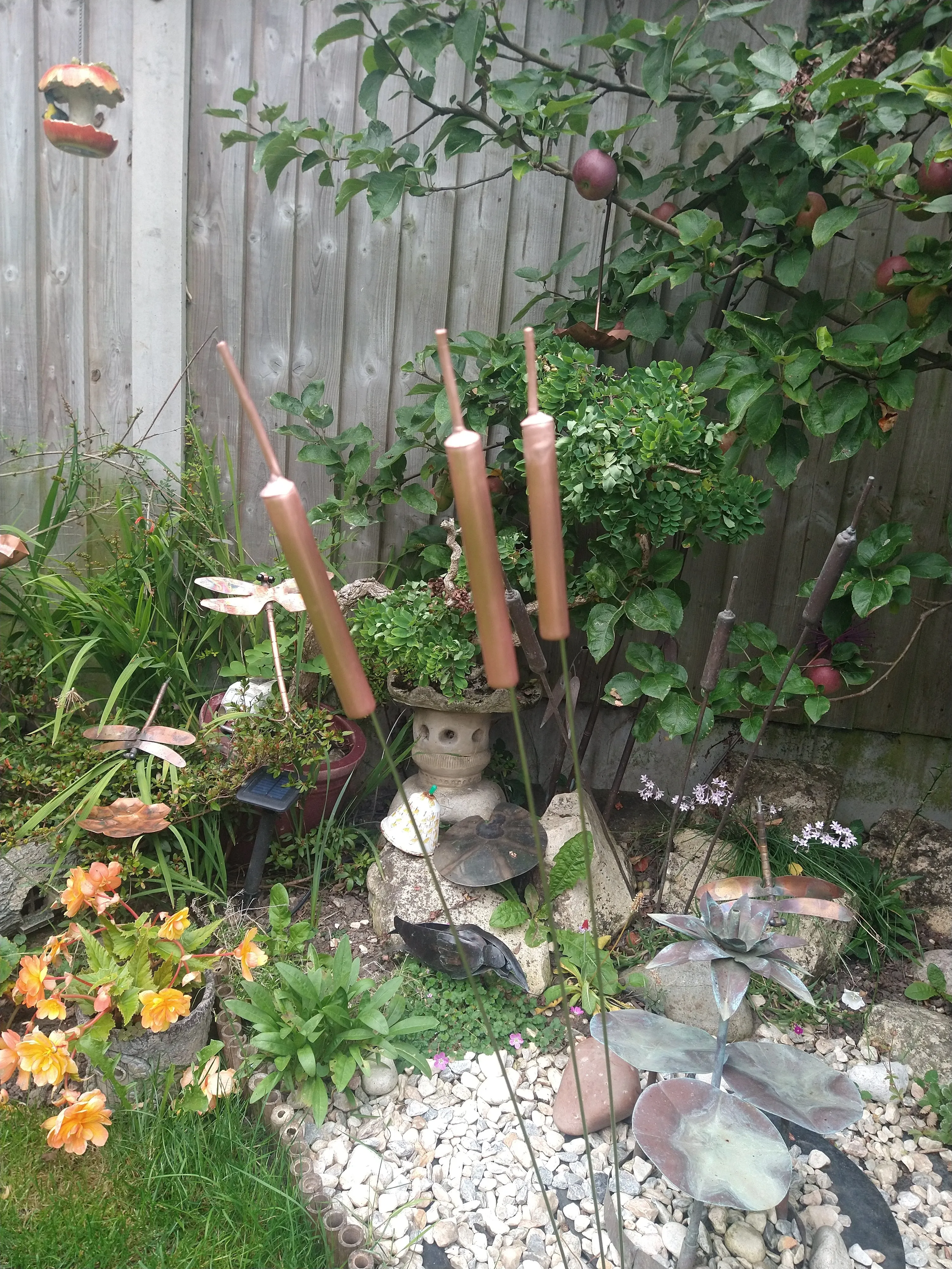 Copper bulrushes cattails