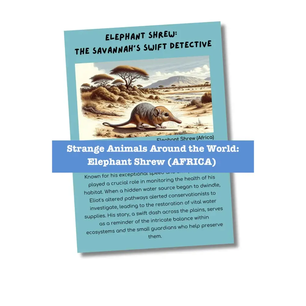 "Strange Animals of Africa" Kid's Activities- PLR Rights